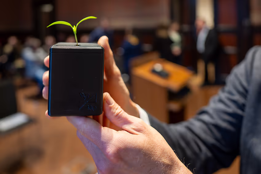 Der Preis, ein kleines Kunstwerk in Form einer Pflanze ....
Fotos: Sascha Stüber